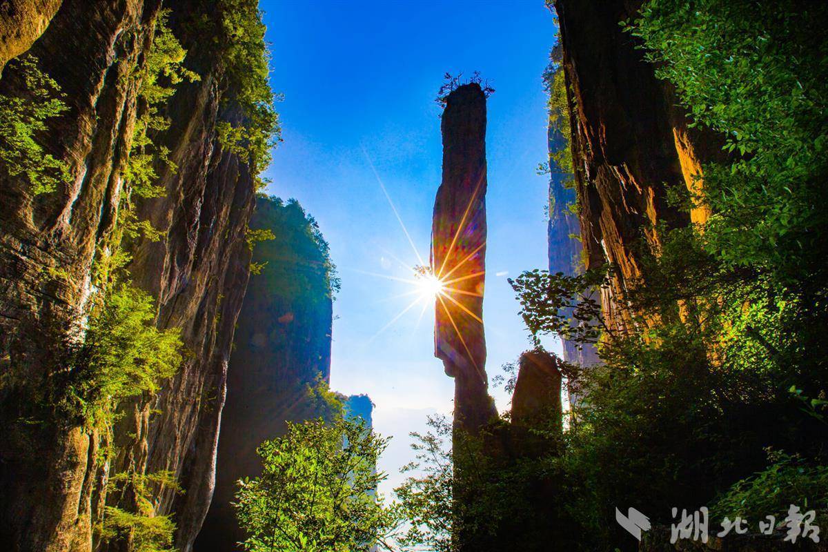 巴黎人在线ag